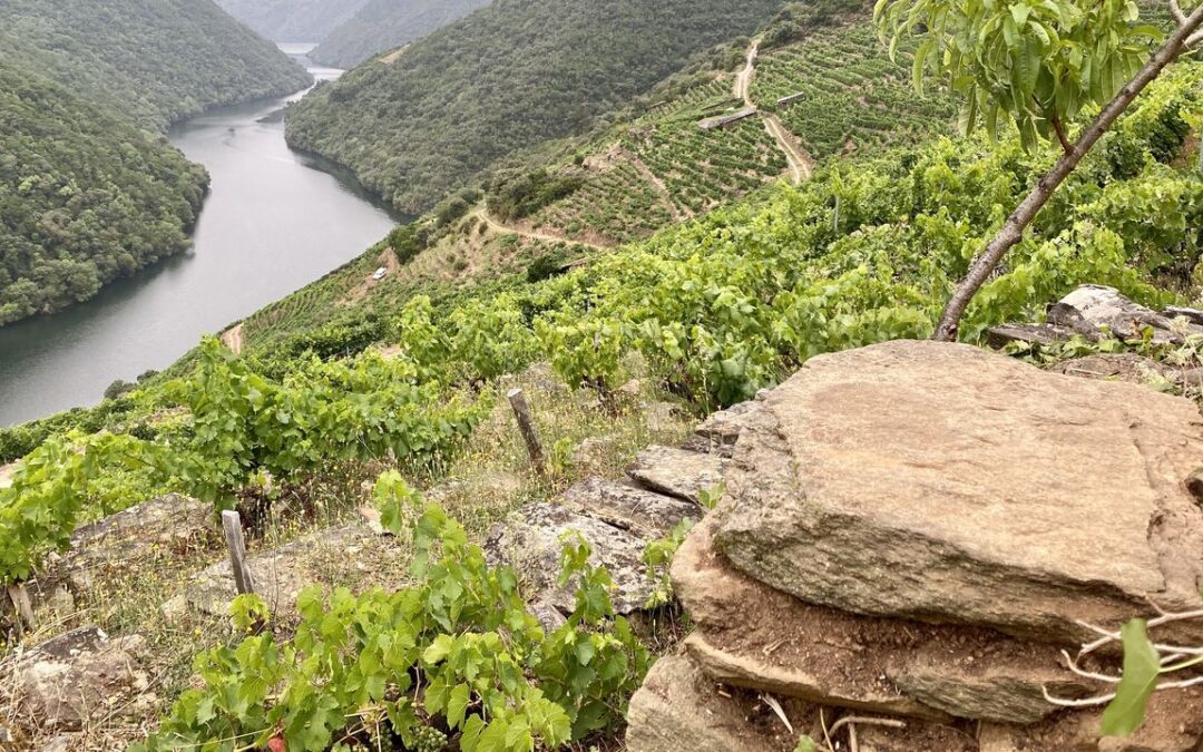 Hayan, en Vilachá, una piedra con una inscripción de origen medieval